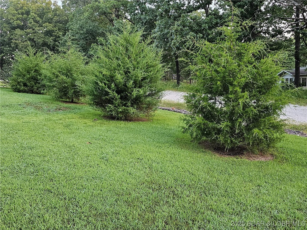 202 Simmons Loop Macks Creek, MO 65786 - Photo 10 of 45