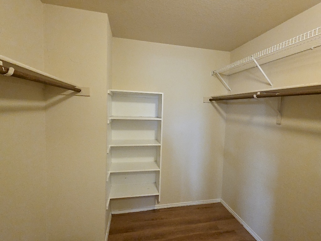 204 Ruby Lake Drive Kyle, TX 78640 - Photo 13 of 22 Walk-in closet