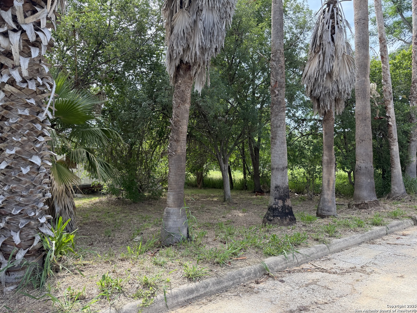 504 North Water Street Pleasanton, TX 78064 - Photo 2 of 5