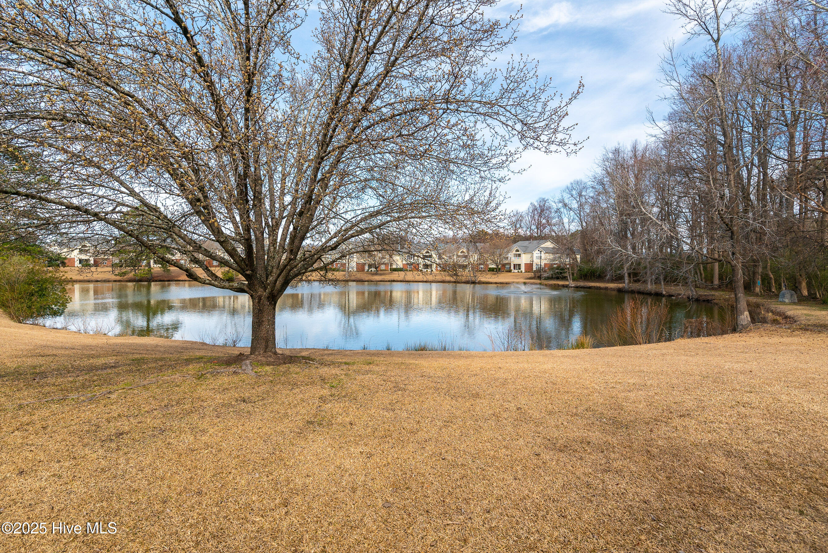 607 Spring Forest Road, Unit C Greenville, NC 27834 - Photo 32 of 38 20250304 MLS S_Nilsen 607 Spring Forest
