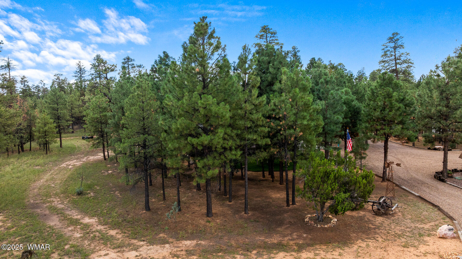 2046 Christmas Pine Road Overgaard, AZ 85933 - Photo 64 of 77