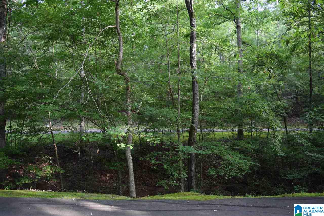Lot 10 South Hollow Road, Unit 10 Hayden, AL 35079 - Photo 6 of 17