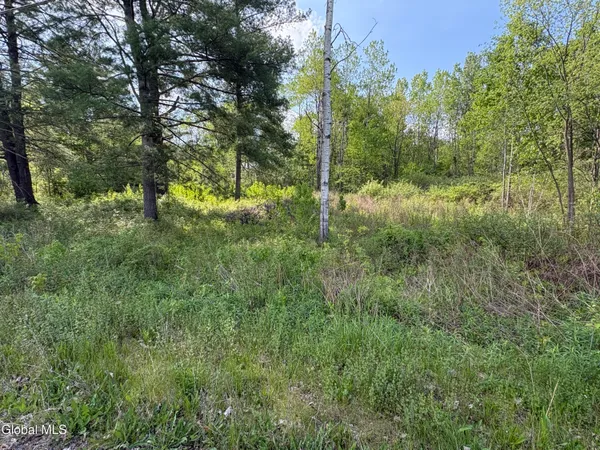 $48,000 | L1 Griffin Avenue, Hoosick Falls, NY 12090