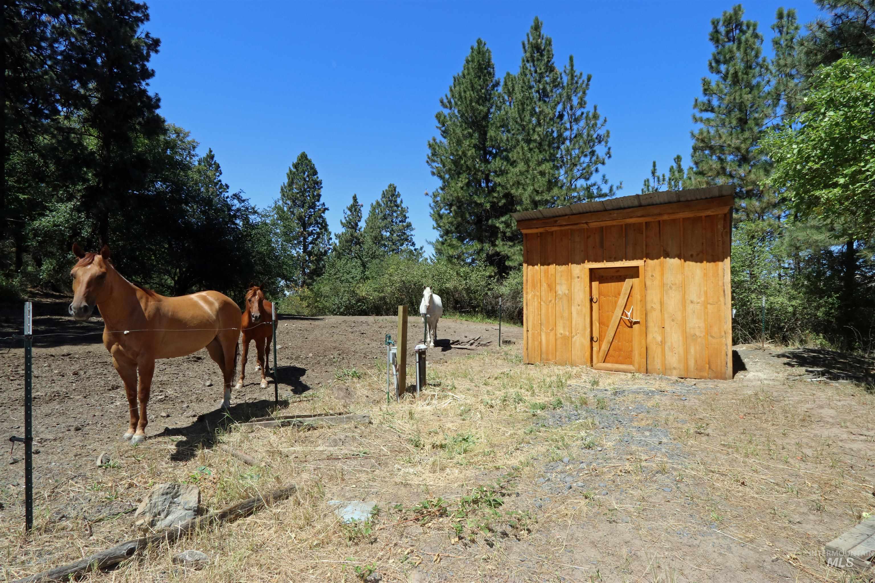 37596 Eberhardt Road Lenore, ID 83541 - Photo 5 of 48