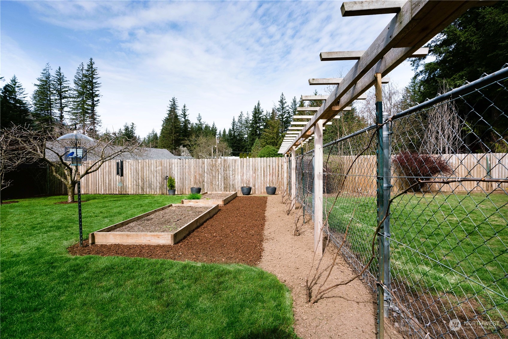 8487 Cimarron Way Maple Falls, WA 98266 - Photo 14 of 39 a view of backyard with green space