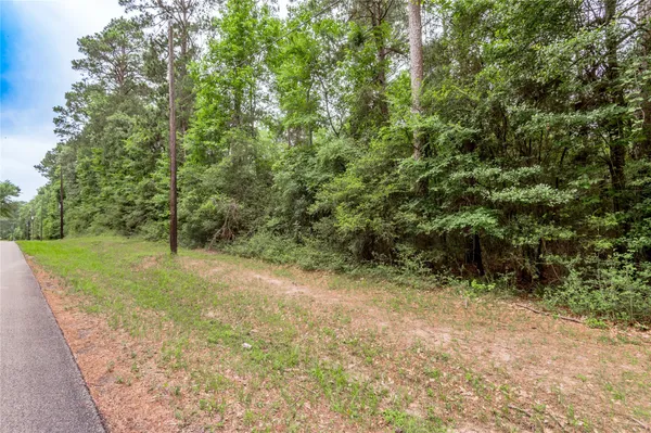 $9,167 | Lot 07 Oak Drive, Trinity, TX 75862