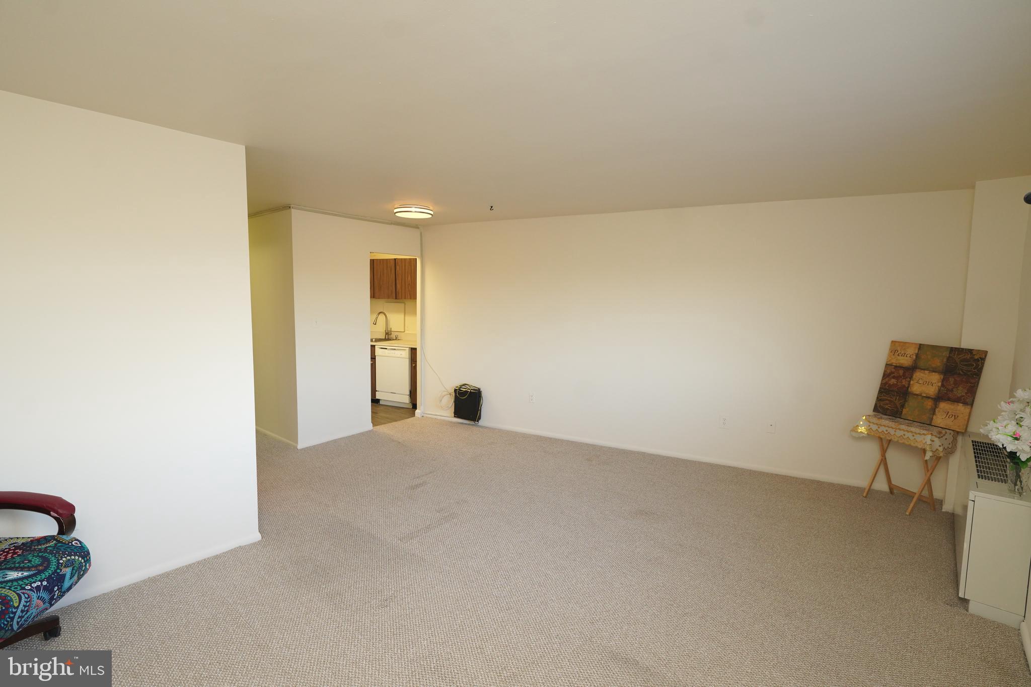 1111 University Boulevard West, Unit 1001A Silver Spring, MD 20902 - Photo 17 of 27 an empty room with lounge chair