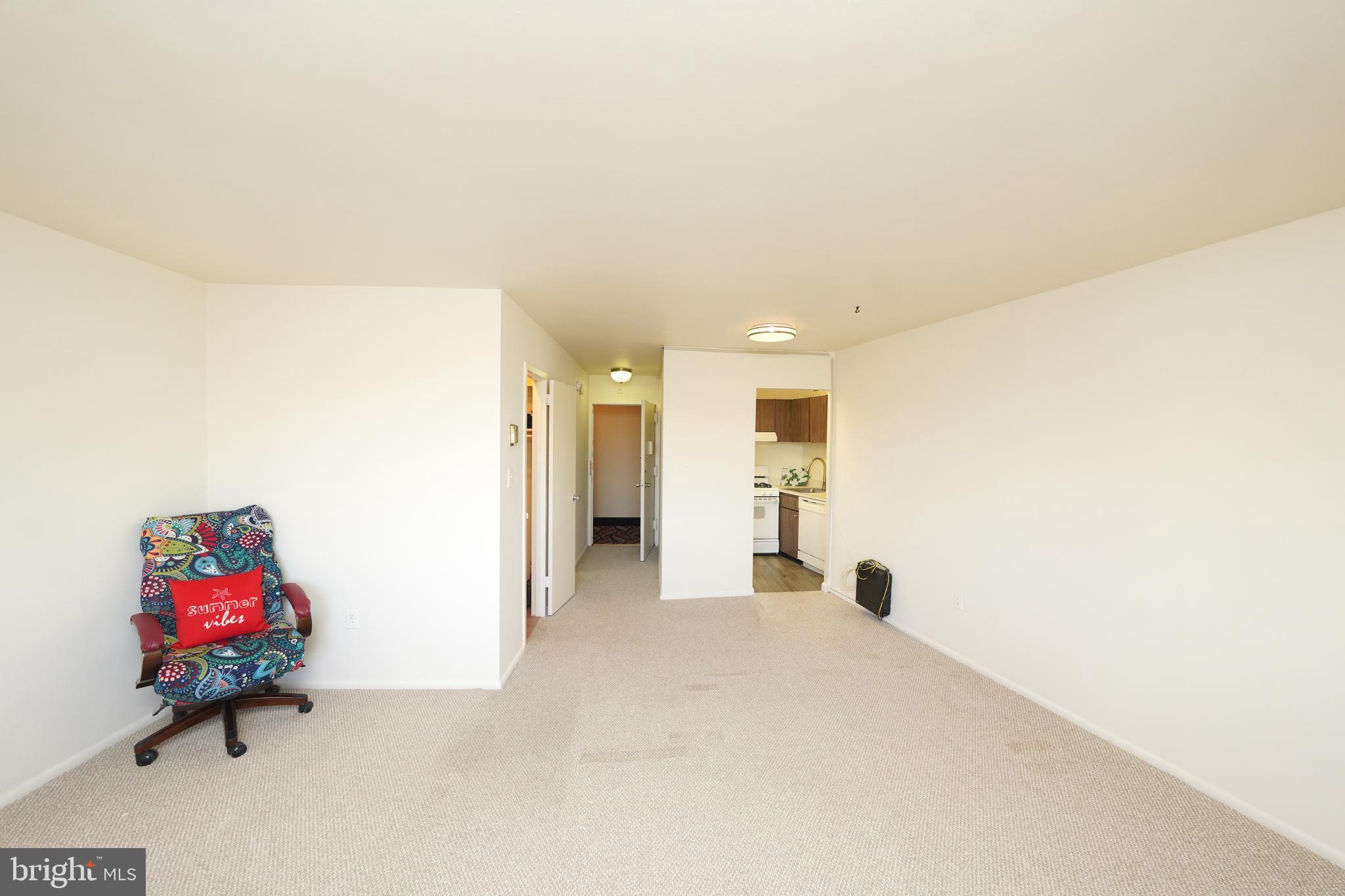 1111 University Boulevard West, Unit 1001A Silver Spring, MD 20902 - Photo 20 of 27 a view of an empty room