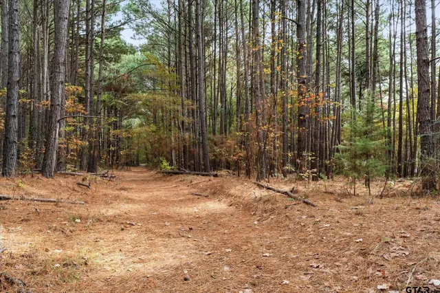 a backyard of a house with large trees
