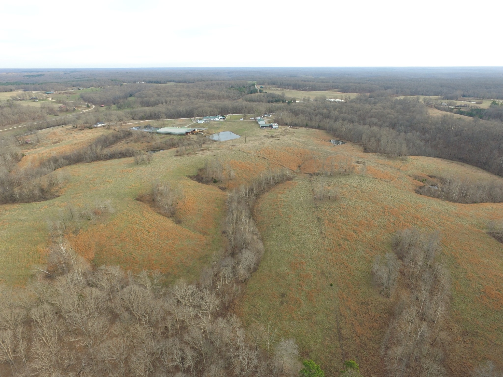 321 Bellview Road Waverly, TN 37185 - Photo 10 of 27
