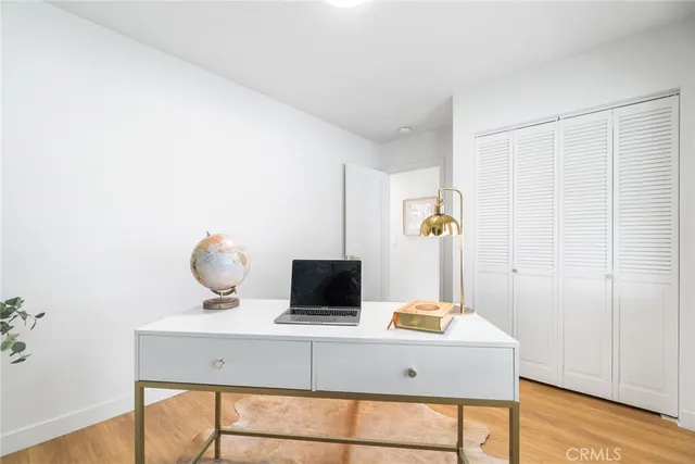 a living room with a couch and a potted plant