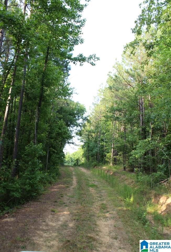 0 County Road 852 Bremen, AL 35033 - Photo 3 of 11