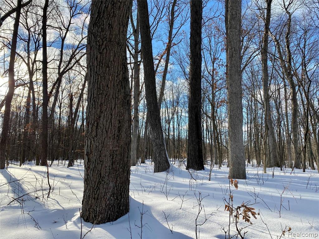 0 Pepper Road Holly, MI 48442 - Photo 10 of 17 Gallery Image 10