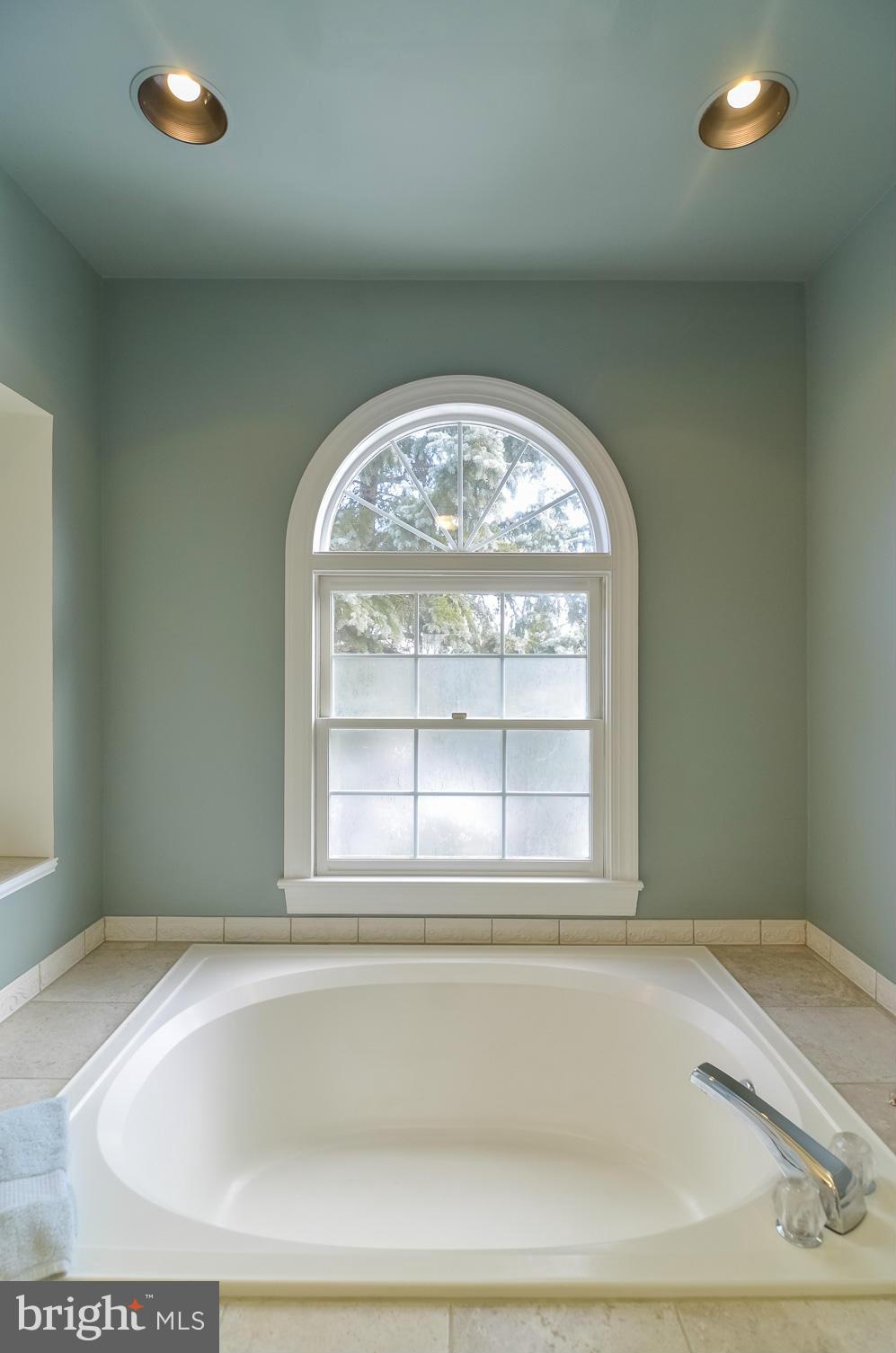 7131 Baldwin Ridge Road Warrenton, VA 20187 - Photo 20 of 30 Bath (Master)