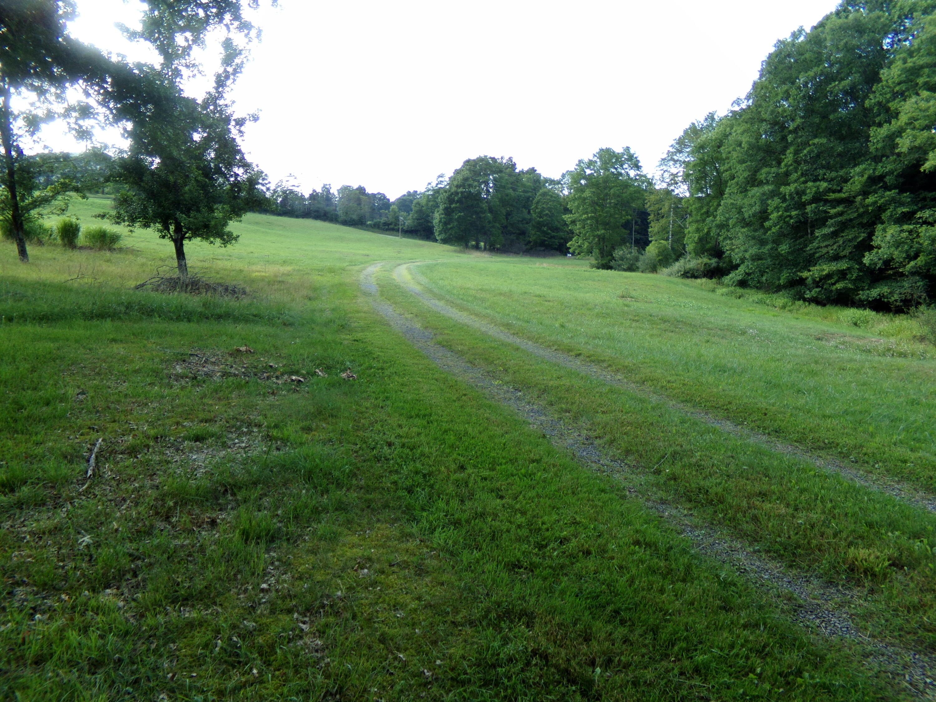 1445 Hominy Fls Road Leivasy, WV 26676 - Photo 26 of 28 Gallery Image 26