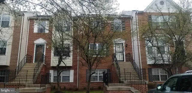 a view of a row of palm trees
