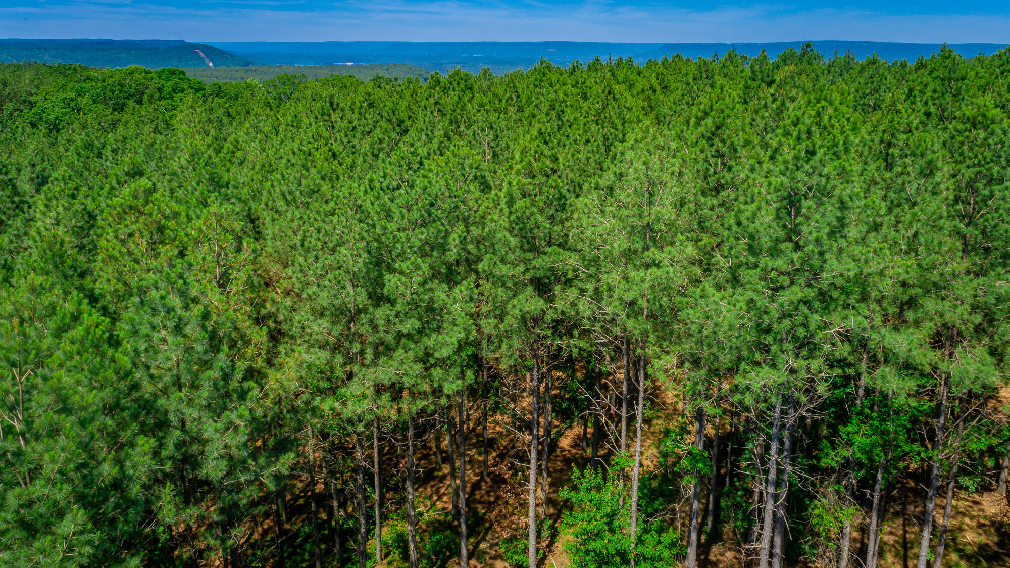 0 Split Rail Way, Unit LOT 1163 Guild, TN 37340 - Photo 72 of 118 River Gorge Lot 1163 HD-78