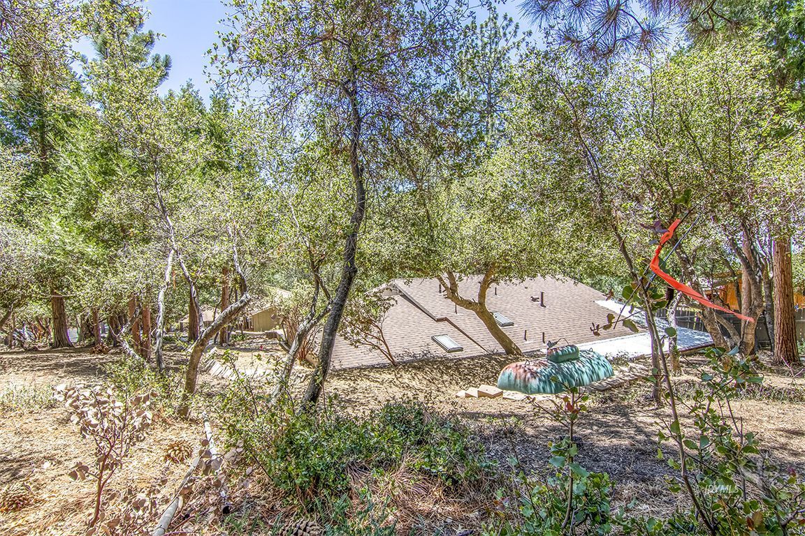 54440 Valley-View Idyllwild, CA 92549 - Photo 46 of 53 a view of a tree in front of a house