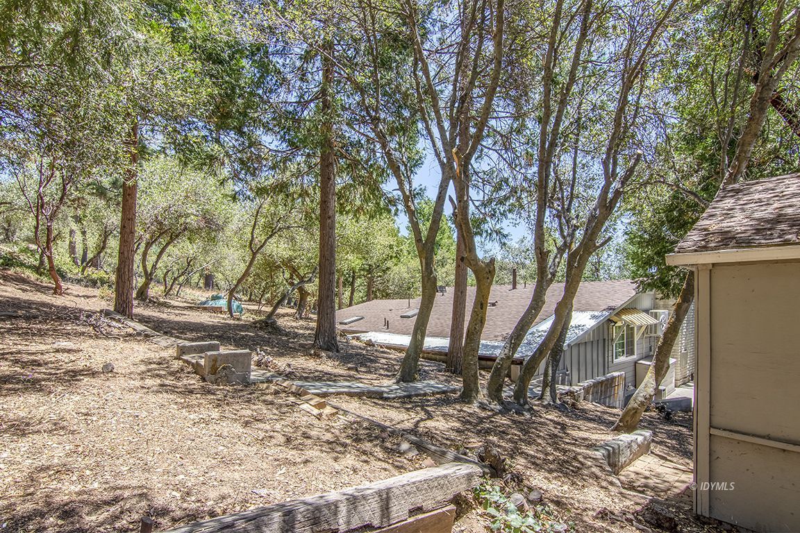 54440 Valley-View Idyllwild, CA 92549 - Photo 47 of 53 a view of a yard with a tree