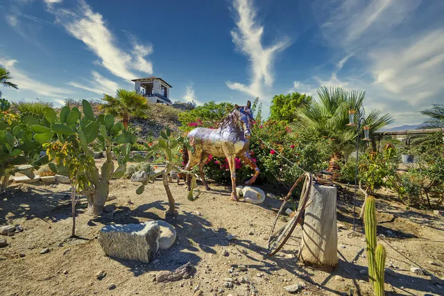 a view of a backyard of a house