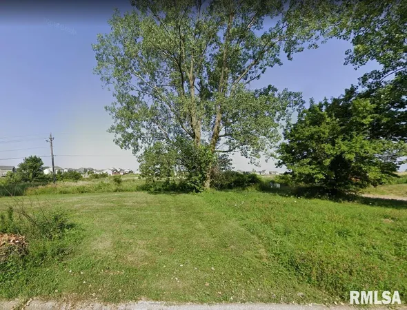 a view of a grassy field with trees