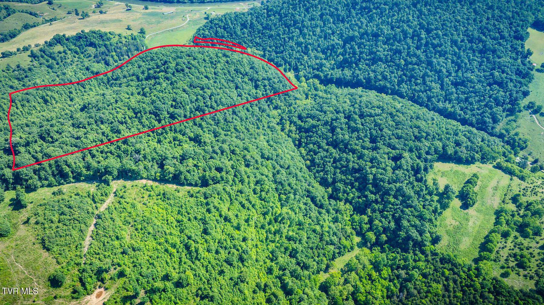 Tbd Eb Holw Road Eidson, TN 37731 - Photo 15 of 18 301