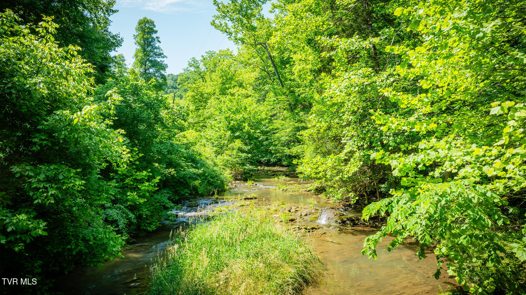 Tbd Eb Holw Road Eidson, TN 37731 - Photo 6 of 18 120