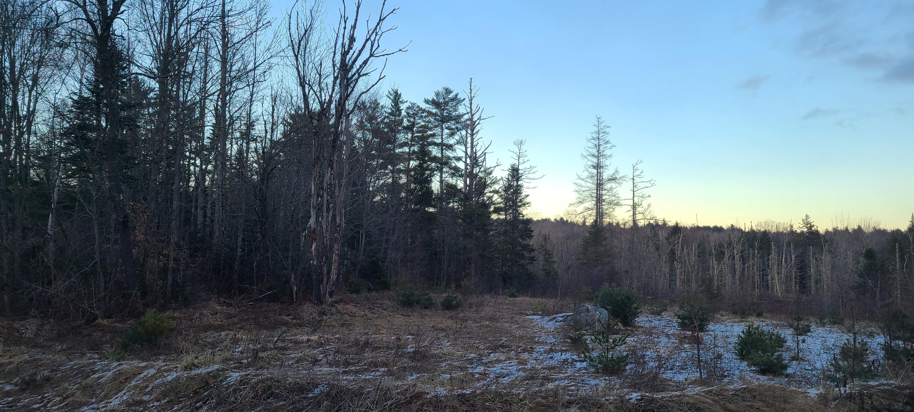 Map12-lot24 Valley Road Brooks, ME 04921 - Photo 3 of 3 20241219_153118