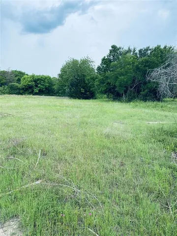 a view of a field with plants and trees in the background