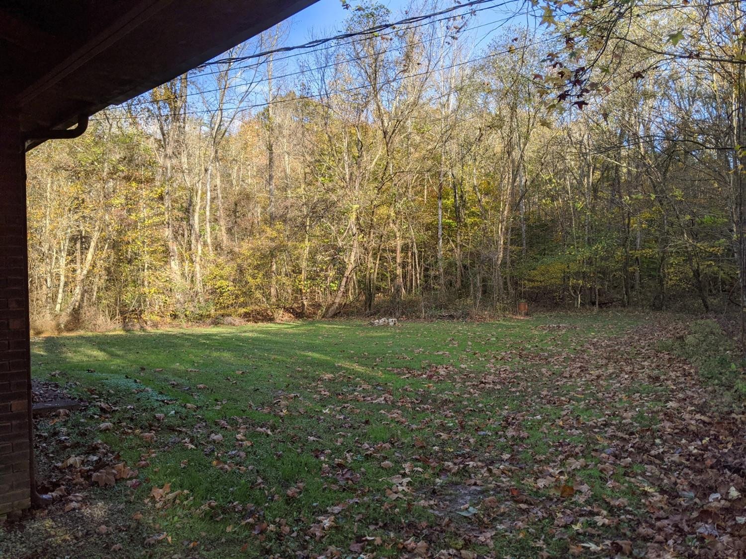 4249 Red Bird Road Williamsburg, KY 40769 - Photo 6 of 30 Photo 6