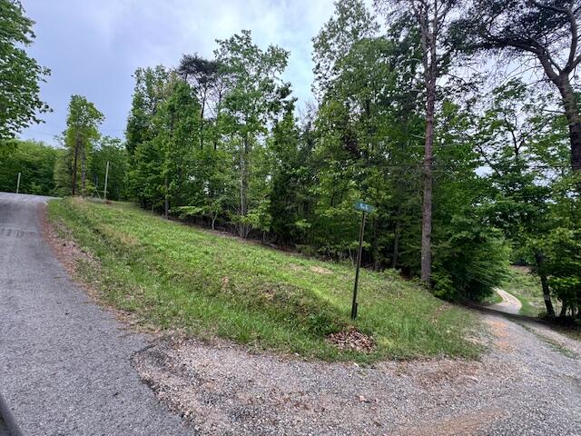 0 Maple Drive Spring City, TN 37381 - Photo 4 of 6 IMG_7962