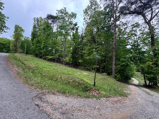 0 Maple Drive Spring City, TN 37381 - Photo 5 of 6 IMG_7963