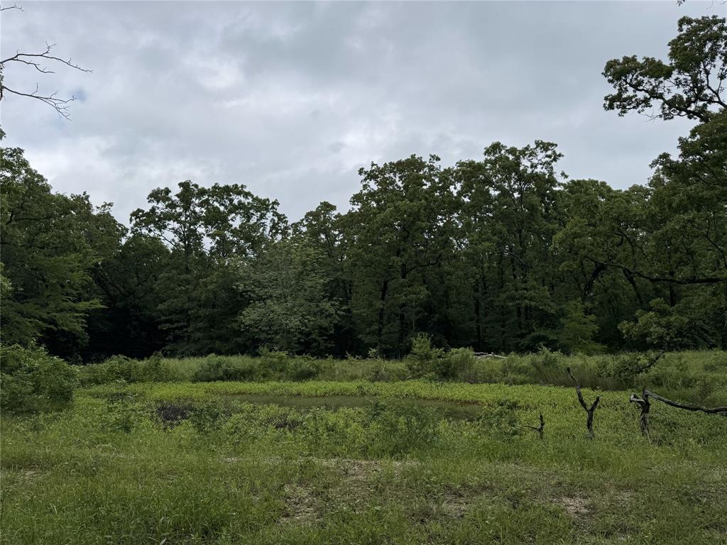 3360 County Road 3360 Emory, TX 75440 - Photo 2 of 9 View of landscape with a wooded view