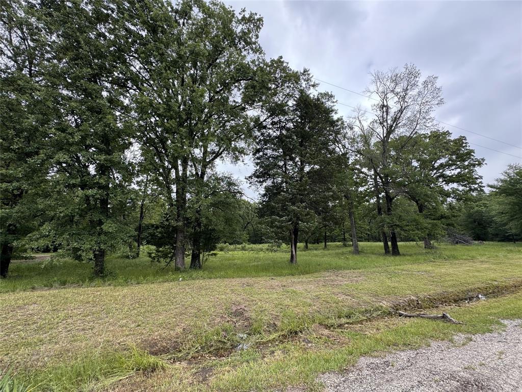 3360 County Road 3360 Emory, TX 75440 - Photo 4 of 9 View of local wilderness