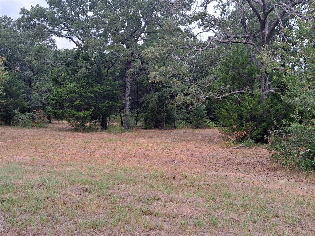 3360 County Road 3360 Emory, TX 75440 - Photo 5 of 9 View of local wilderness featuring a forest view