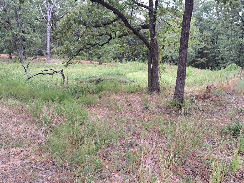 3360 County Road 3360 Emory, TX 75440 - Photo 8 of 9 View of landscape with a wooded view
