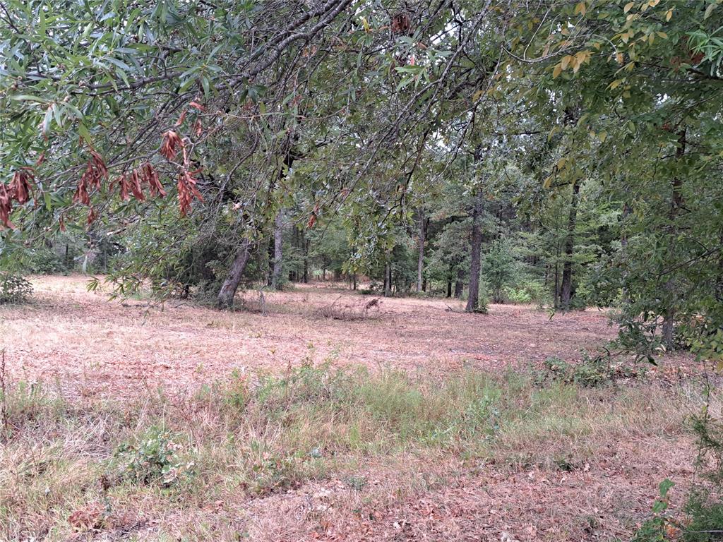 3360 County Road 3360 Emory, TX 75440 - Photo 9 of 9 View of nature with a view of trees