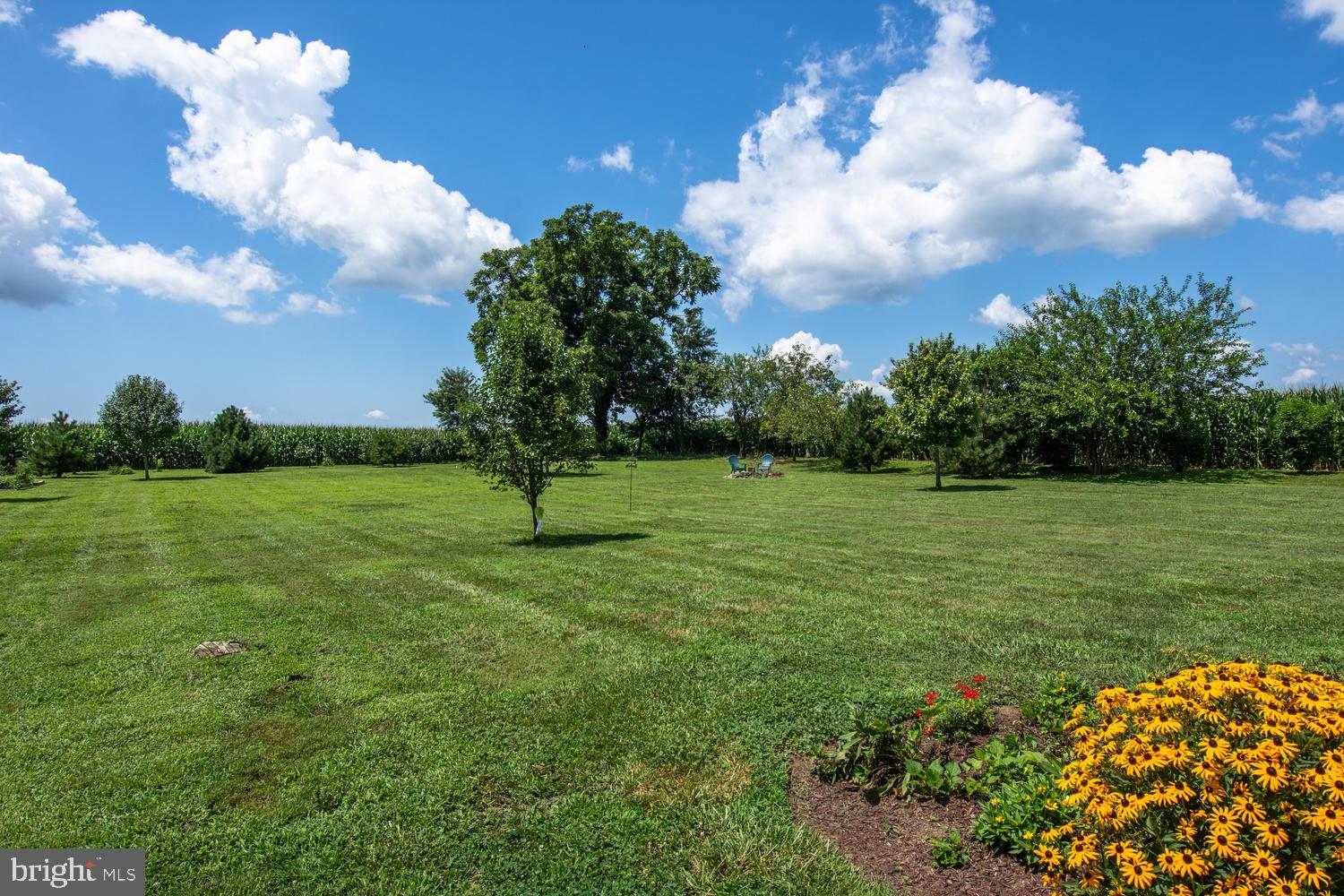 25 Fingerboard Schoolhouse Road Earleville, MD 21919 - Photo 35 of 38 Scenic rural views