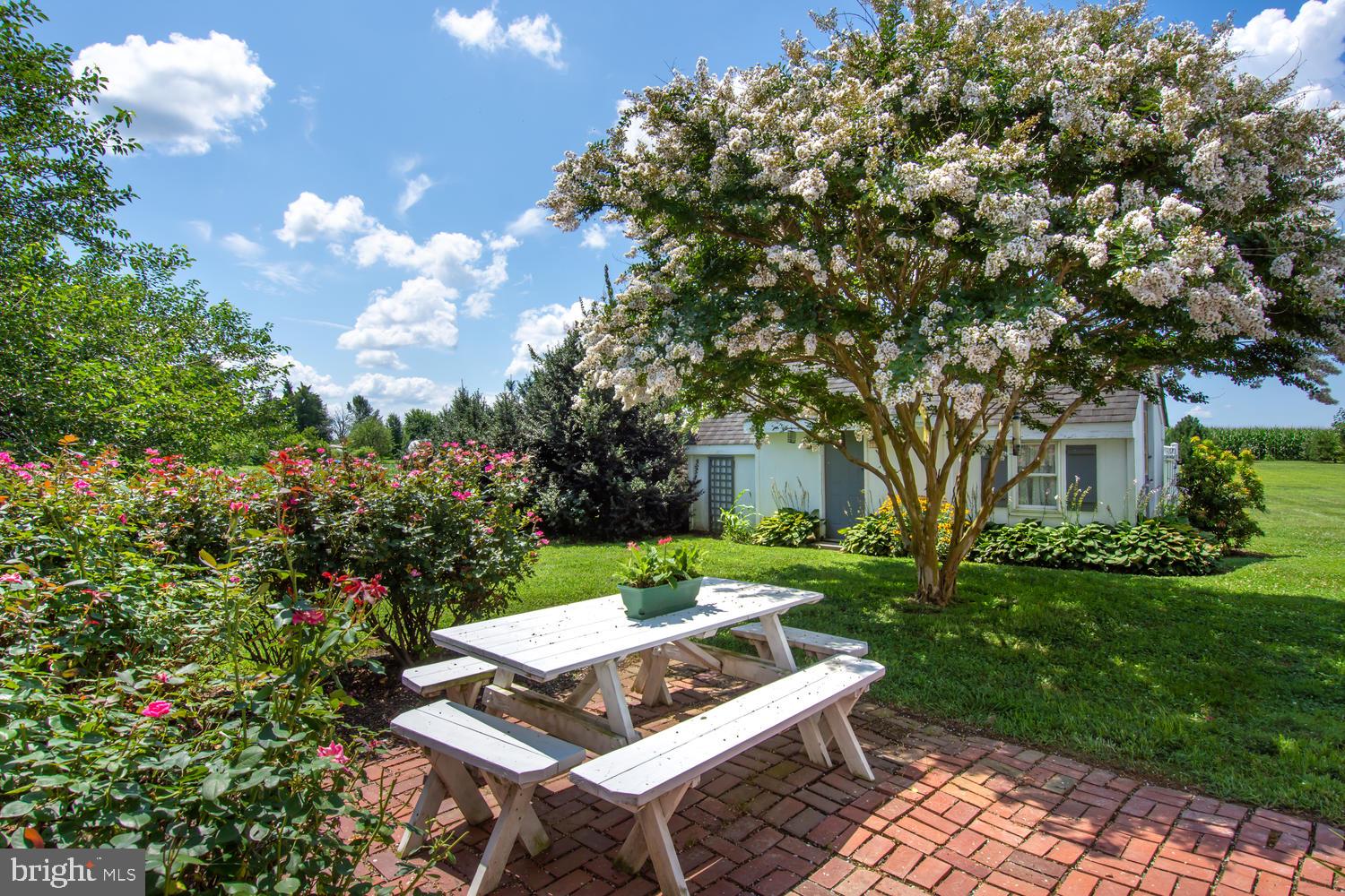 25 Fingerboard Schoolhouse Road Earleville, MD 21919 - Photo 7 of 38 Private patio