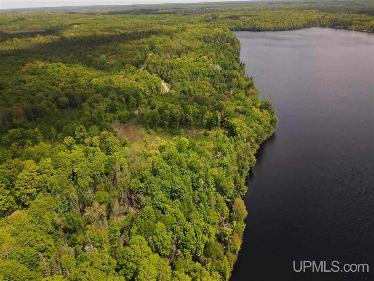 Tbd West Tamarack Lake Road, Unit 17 Iron River, MI 49935 - Photo 4 of 45