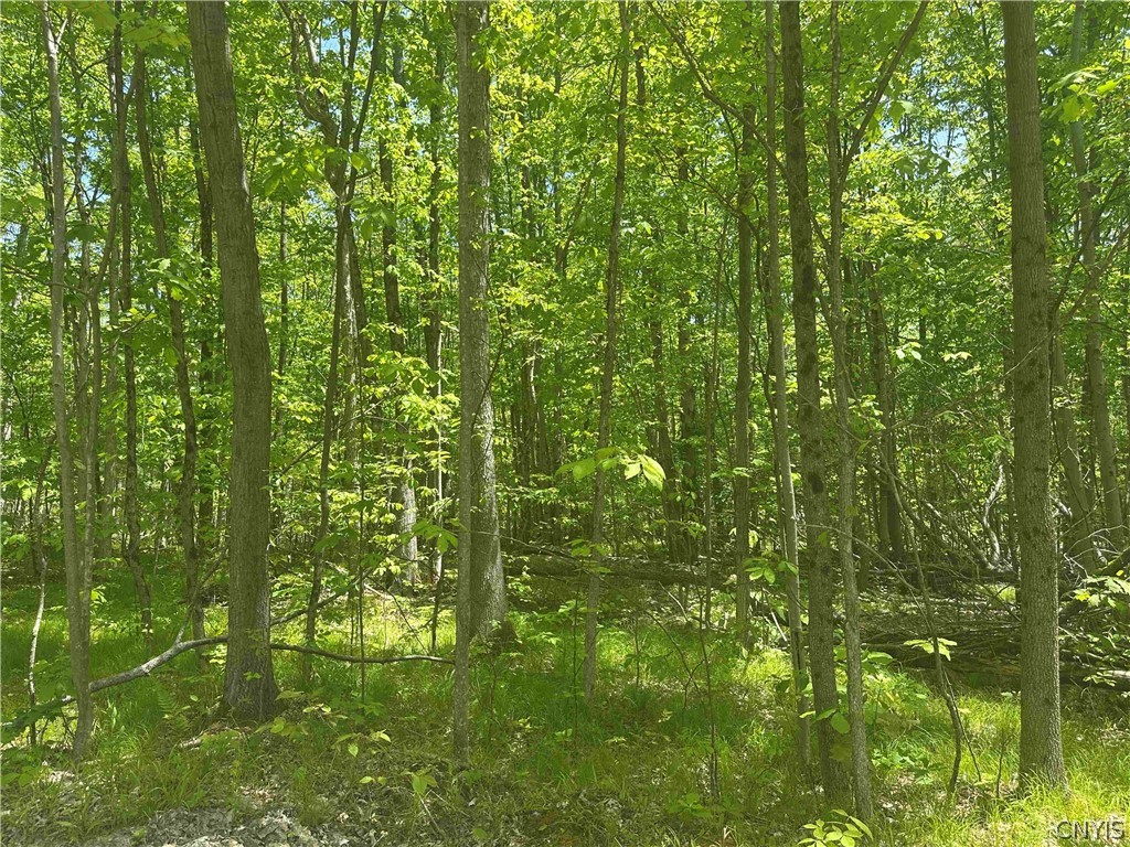 River Road Belmont, NY 14813 - Photo 16 of 23