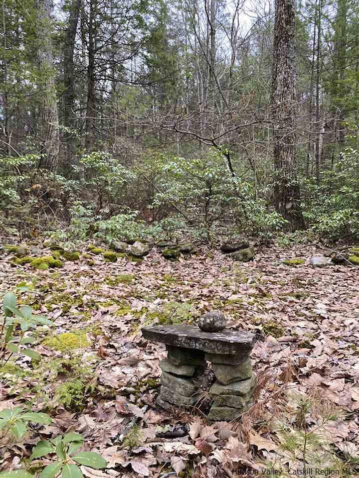 96 The High Road Mount Tremper, NY 12457 - Photo 17 of 20 Photo 17