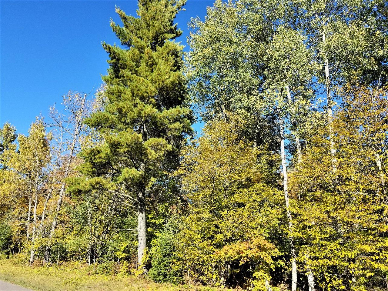 Lot 4 Weber Road Mercer, WI 54547 - Photo 1 of 15 Gallery Image 1
