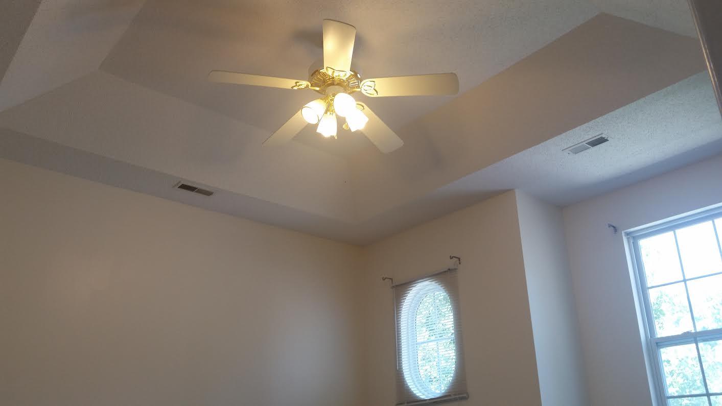 1220 Millbrook Road Summerville, SC 29486 - Photo 10 of 15 Master bedroom (tray ceiling)
