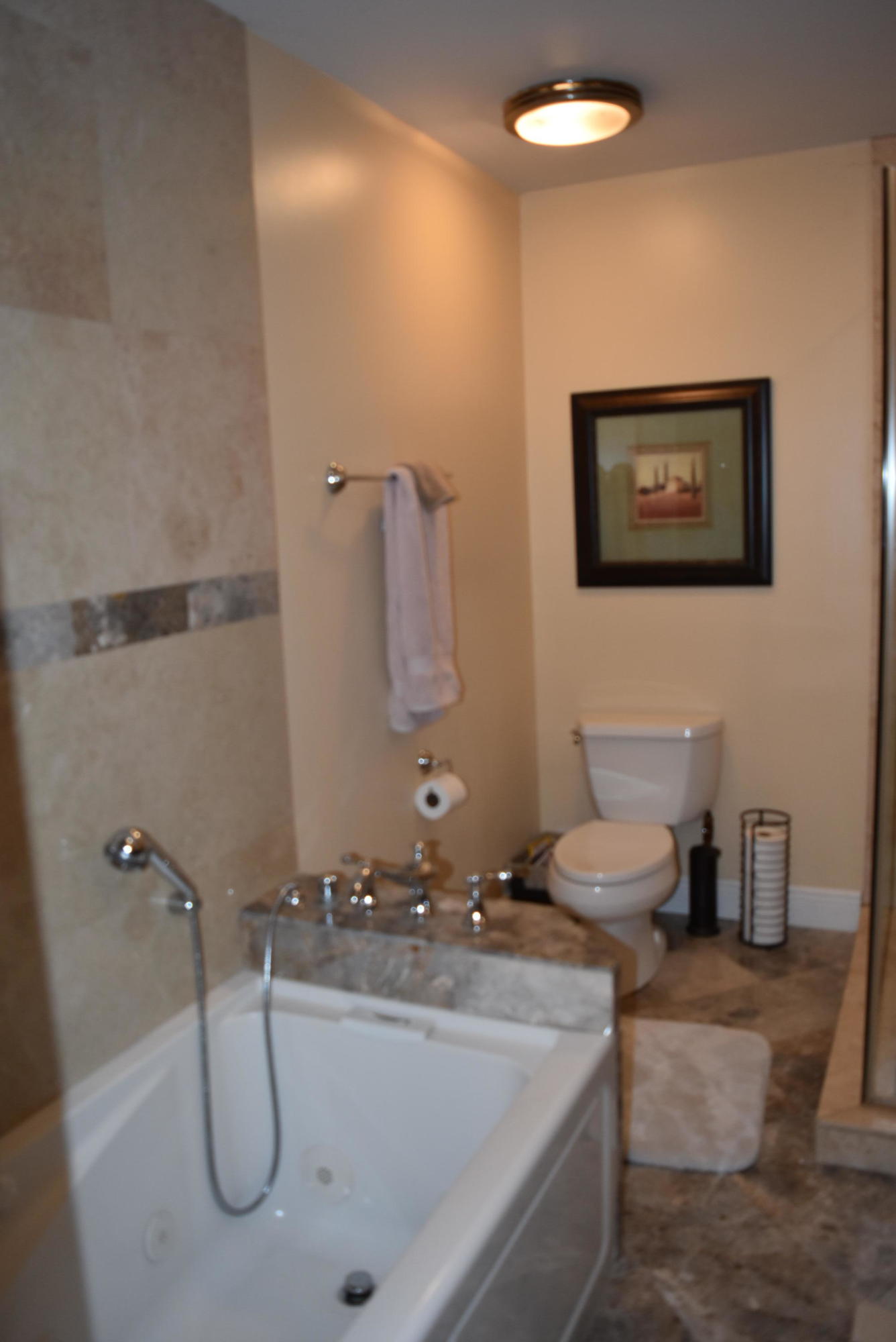 23043 Sunfield Drive Boca Raton, FL 33433 - Photo 26 of 34 DSC_3779