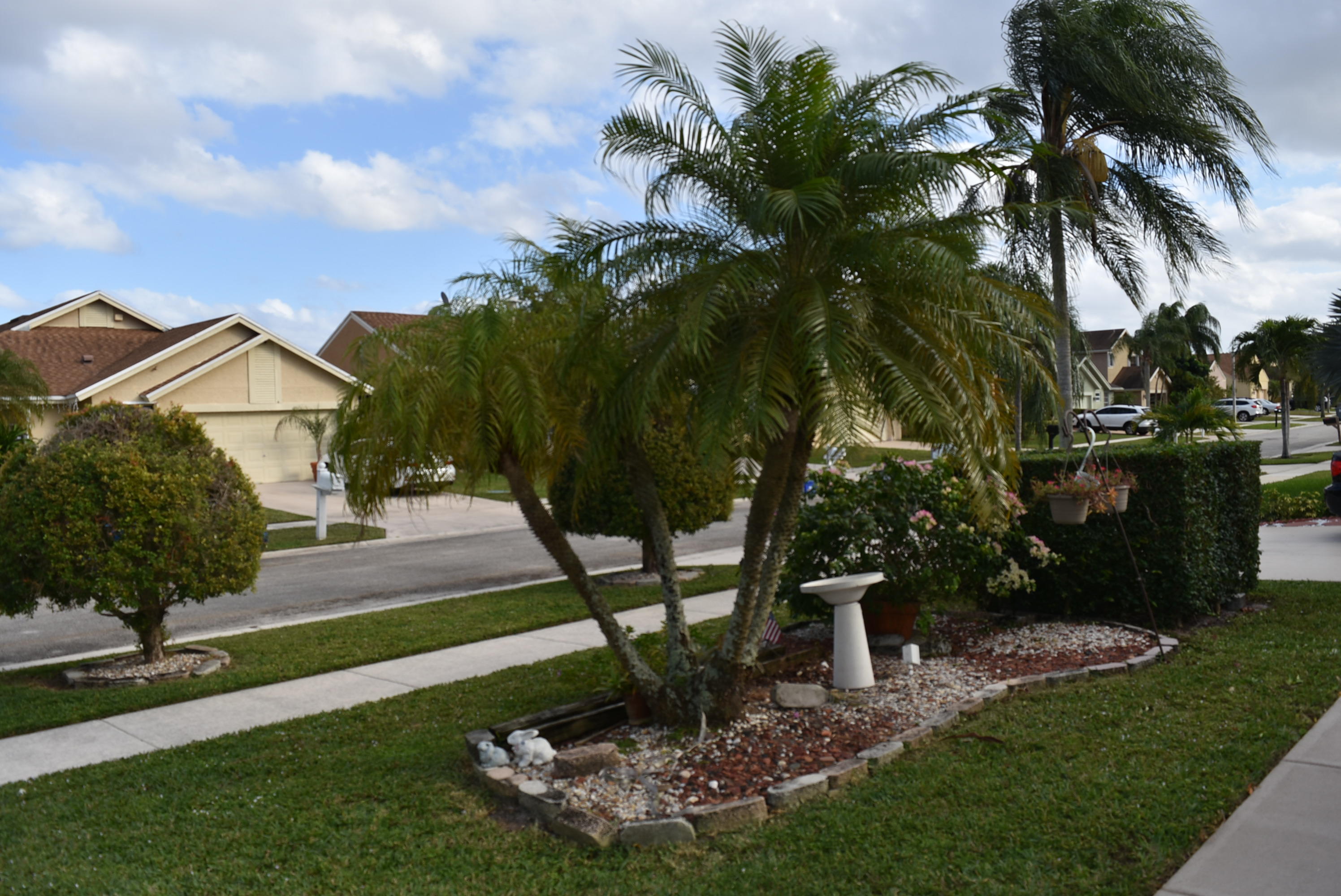 23043 Sunfield Drive Boca Raton, FL 33433 - Photo 5 of 34 DSC_3799