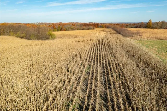 $390,500 | Tbd West Oak Street, Breckenridge, MO 64625