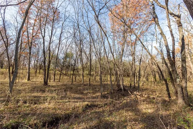 $390,500 | Tbd West Oak Street, Breckenridge, MO 64625