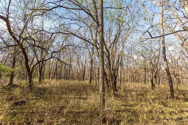 $390,500 | Tbd West Oak Street, Breckenridge, MO 64625