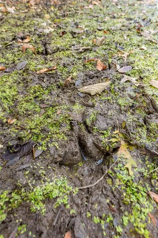 $390,500 | Tbd West Oak Street, Breckenridge, MO 64625